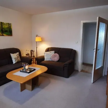 Am Birkenweg Apartamento Braunlage