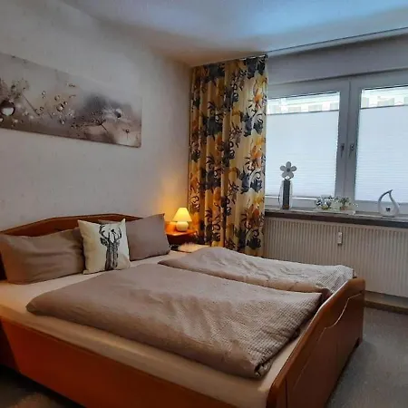 Apartment Am Birkenweg Braunlage